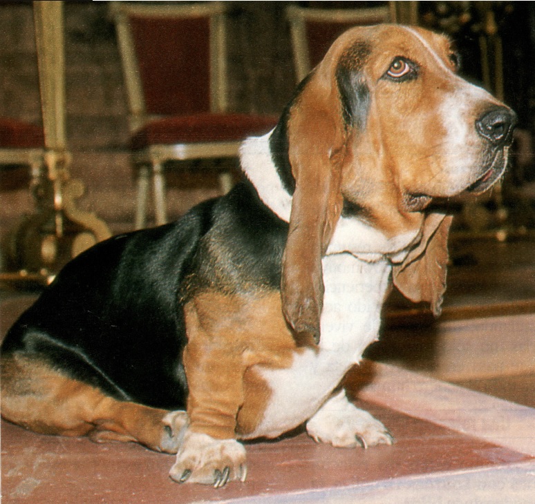 «Un, dos, tres...» - 1991