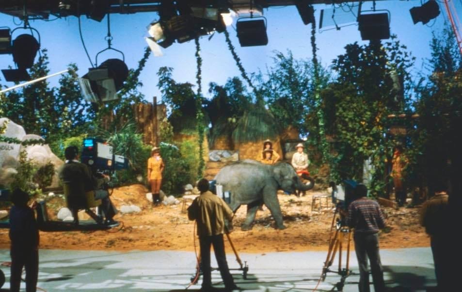 «Un, dos, tres...» - 1982