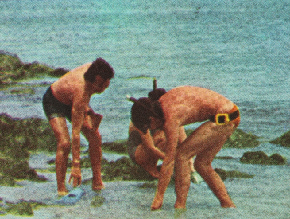 «Un, dos, tres... responda otra vez» - 1976