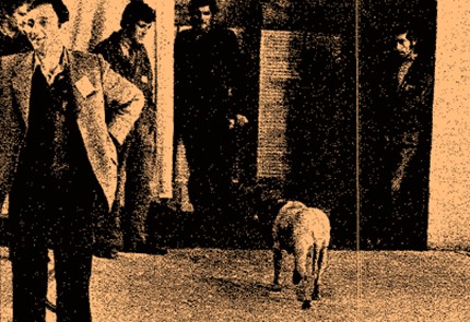 «Un, dos, tres... responda otra vez» - 1973